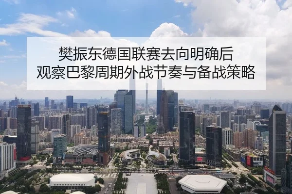 樊振东德国联赛去向明确后 观察巴黎周期外战节奏与备战策略