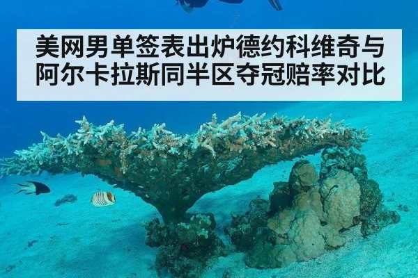 美网男单签表出炉德约科维奇与阿尔卡拉斯同半区夺冠赔率对比